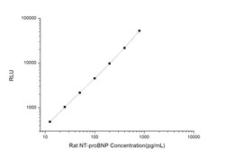 Novus Biologicals Rat NT-proBNP ELISA Kit (Chemiluminescence) 1 Kit | Buy Online | Novus Biologicals&trade; | Fisher Scientific