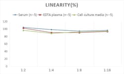 Novus Biologicals&trade;&nbsp;Human ATF6 ELISA Kit (Colorimetric)