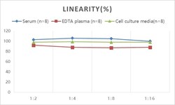 Novus Biologicals&trade;&nbsp;Rat Amyloid Beta 1-42 ELISA Kit (Colorimetric)