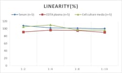 Novus Biologicals Rat Bad ELISA Kit (Chemiluminescence) 1 Kit | Buy Online | Novus Biologicals&trade; | Fisher Scientific