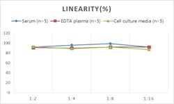 Novus Biologicals Human BAFFR/TNFRSF13C ELISA Kit (Colorimetric) 1 Kit | Buy Online | Novus Biologicals&trade; | Fisher Scientific