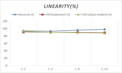 Novus Biologicals Mouse BAFFR/TNFRSF13C ELISA Kit (Colorimetric) 1 Kit | Buy Online | Novus Biologicals&trade; | Fisher Scientific