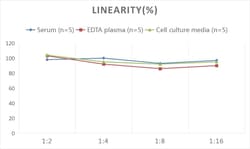 Novus Biologicals&trade;&nbsp;Human PP14/Glycodelin ELISA Kit (Colorimetric)
