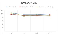 Novus Biologicals&trade;&nbsp;Rat CD30/TNFRSF8 ELISA Kit (Colorimetric)