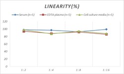 Novus Biologicals&trade;&nbsp;Human GLP-1R ELISA Kit (Colorimetric)