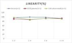Novus Biologicals&trade;&nbsp;Rat beta-Galactosidase-1/GLB1 ELISA Kit (Colorimetric)