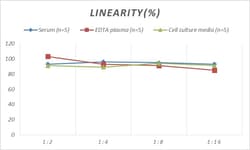 Novus Biologicals™ Human EGR2 ELISA Kit (Colorimetric)