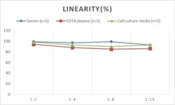 Novus Biologicals&trade;&nbsp;Mouse EGR2 ELISA Kit (Colorimetric)