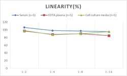 Novus Biologicals&trade;&nbsp;Human PCDHB16 ELISA Kit (Colorimetric)