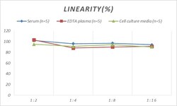 Novus Biologicals&trade;&nbsp;Rat GDF-1 ELISA Kit (Colorimetric)