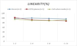 Novus Biologicals™ Human gamma-Synuclein ELISA Kit (Colorimetric)