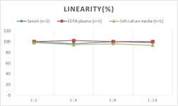 Novus Biologicals&trade;&nbsp;Rabbit VCAM-1/CD106 ELISA Kit (Colorimetric)