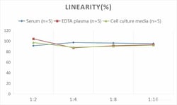 Novus Biologicals™ Human IL-33 ELISA Kit (Colorimetric)