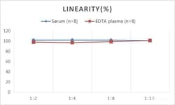 Novus Biologicals&nbsp;Rat Estradiol ELISA Kit (Colorimetric)