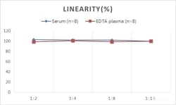 Novus Biologicals Rat Testosterone ELISA Kit (Colorimetric)