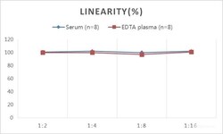 Novus Biologicals&nbsp;Rabbit Progesterone ELISA Kit (Colorimetric)