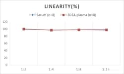Novus Biologicals&nbsp;Sheep Testosterone ELISA Kit (Colorimetric)