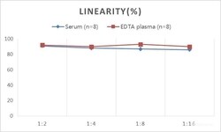 Novus Biologicals Sheep ESTRIOL ELISA Kit (Colorimetric)