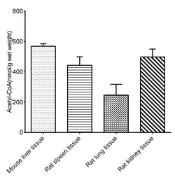 Novus Biologicals&trade;&nbsp;Acetyl-CoA Assay Kit (Colorimetric)