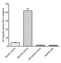 Novus Biologicals™ GPT Activity Assay Kit (Colorimetric)