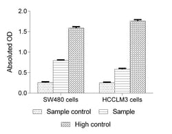 Novus Biologicals™ Lactate Dehydrogenase Assay Kit (Colorimetric)