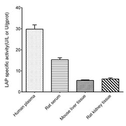 Novus Biologicals Leucine Aminopeptidase (LAP) Activity Assay Kit (Colorimetric)