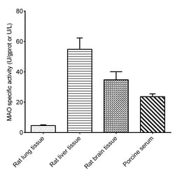 Novus Biologicals™ Monoamine Oxidase Activity Assay Kit (Colorimetric)