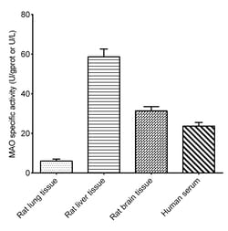 Novus Biologicals™ Monoamine Oxidase Activity Assay Kit (Colorimetric)