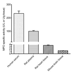 Novus Biologicals™ Myeloperoxidase/MPO Activity Assay Kit (Colorimetric)