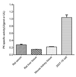 Novus Biologicals™ Pyruvate Kinase Activity Assay Kit (Colorimetric)