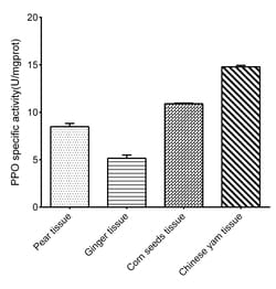 Novus Biologicals™ Polyphenol Oxidase/PPO Activity Assay Kit (Colorimetric)