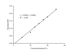 Novus Biologicals™ Direct Bilirubin/DBIL Assay Kit (Colorimetric)