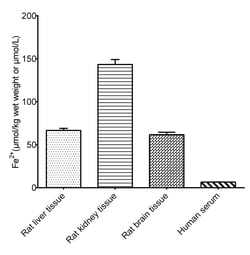 Novus Biologicals Ferrous Iron (Fe2+) Assay Kit (Colorimetric) 96 Tests | Buy Online | Novus Biologicals&trade; | Fisher Scientific