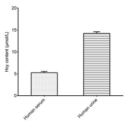 Novus Biologicals™ Homocysteine Assay Kit (Colorimetric)