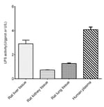 Novus Biologicals™ Lipase Activity Assay Kit (Colorimetric)