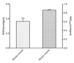 Novus Biologicals NAD+/NADH Assay Kit (Colorimetric) 96 Tests | Buy Online | Novus Biologicals&trade; | Fisher Scientific