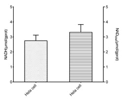 Novus Biologicals NAD+/NADH Assay Kit (Colorimetric) 96 Tests | Buy Online | Novus Biologicals&trade; | Fisher Scientific