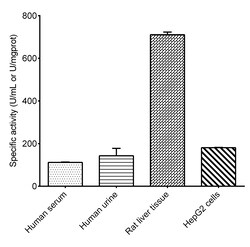 Novus Biologicals Total Superoxide Dismutase/T-SOD Activity Assay Kit (Colorimetric) 96 Tests | Buy Online | Novus Biologicals&trade; | Fisher Scientific