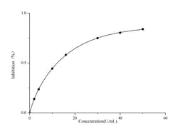 Novus Biologicals™ Total Superoxide Dismutase/T-SOD Activity Assay Kit (Colorimetric)