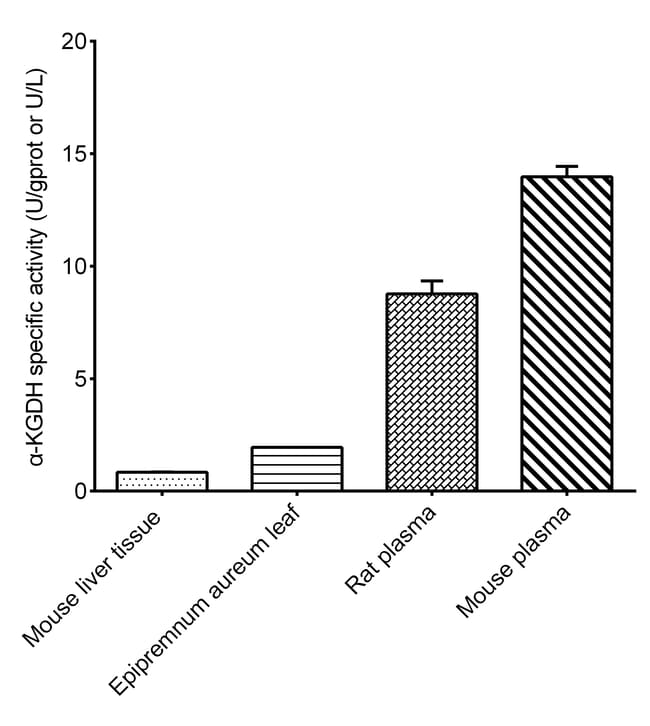 K@LDH Novus Biologicals alpha-Ketoglutarate Dehydrogenase Activity