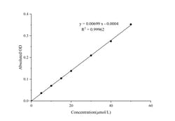 Novus Biologicals™ Cell Total Iron (Fe) Assay Kit (Colorimetric)