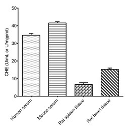 Novus Biologicals™ Cholinesterase Activity Assay Kit (Colorimetric)