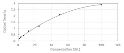 Novus Biologicals&trade;&nbsp;Human Dihydrolipoamide Dehydrogenase/DLD - Ready-To-Use ELISA Kit (Colorimetric)