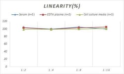 Novus Biologicals&trade;&nbsp;Monkey Lactate Dehydrogenase A/LDHA ELISA Kit (Colorimetric)