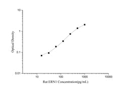 Novus Biologicals&trade;&nbsp;Rat IRE1 alpha ELISA Kit (Colorimetric)