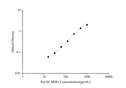 Novus Biologicals&trade;&nbsp;Rat SR-BI ELISA Kit (Colorimetric)