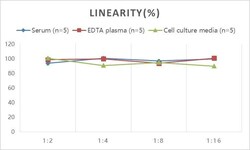 Novus Biologicals&trade;&nbsp;Mouse Abeta 42 ELISA Kit (Colorimetric)