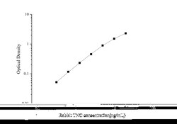 Novus Biologicals&trade;&nbsp;Rabbit Tenascin C ELISA Kit (Colorimetric)