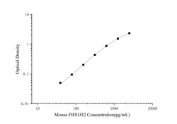 Novus Biologicals&trade;&nbsp;Mouse Fbx32 ELISA Kit (Colorimetric)