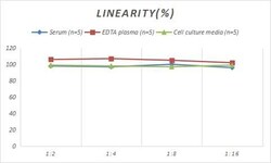 Novus Biologicals&trade;&nbsp;Rabbit Abeta 40 ELISA Kit (Colorimetric)